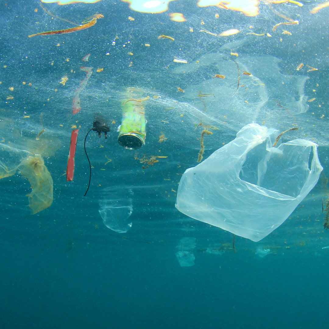 Plastic waste in the ocean.