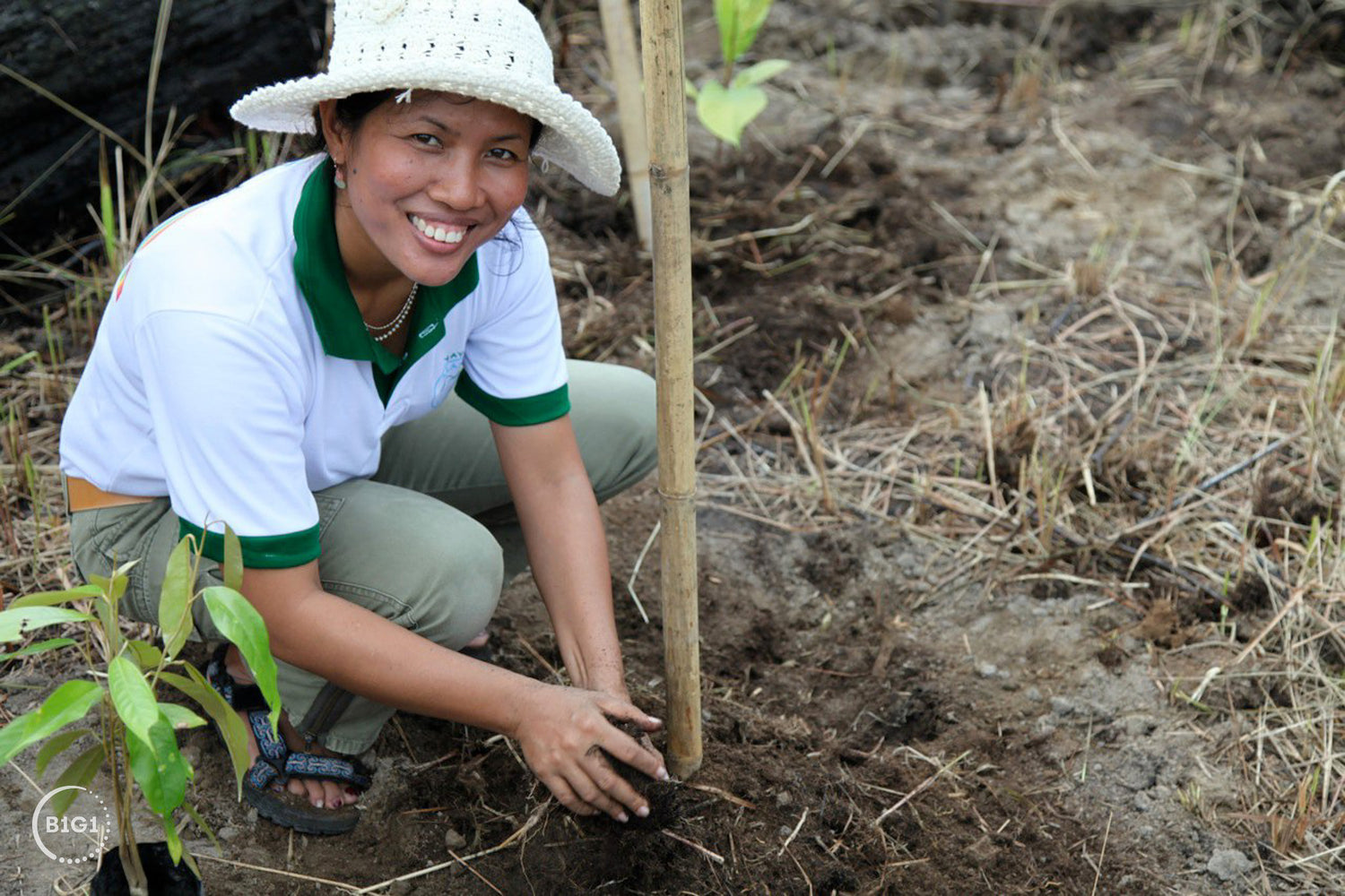 Smiling worker planting a tree