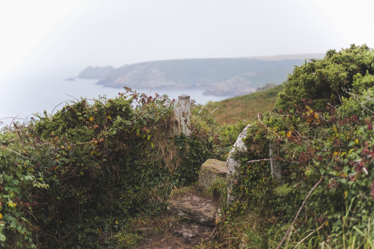 Path in cornwall